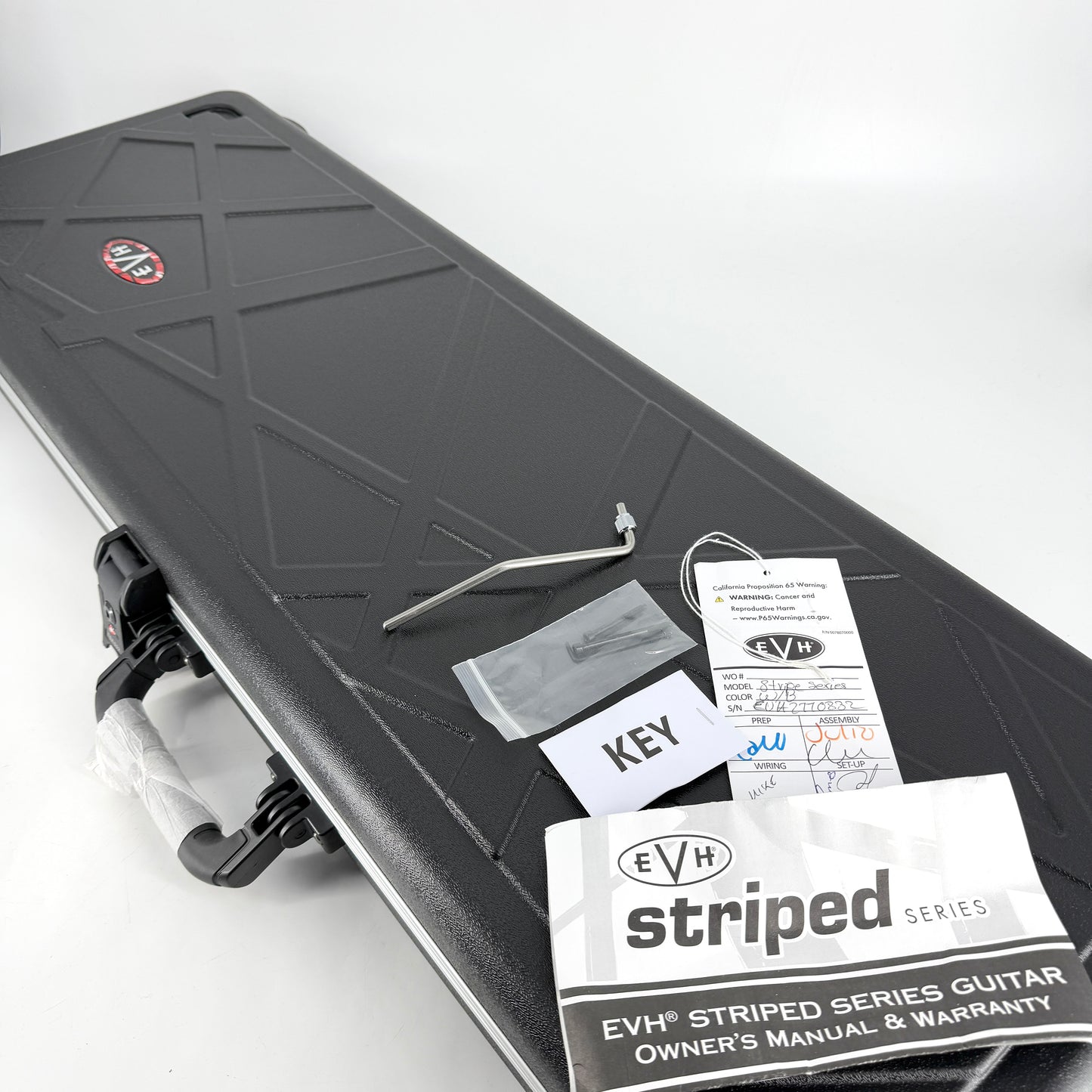 2021 EVH Striped Series – Black & White
