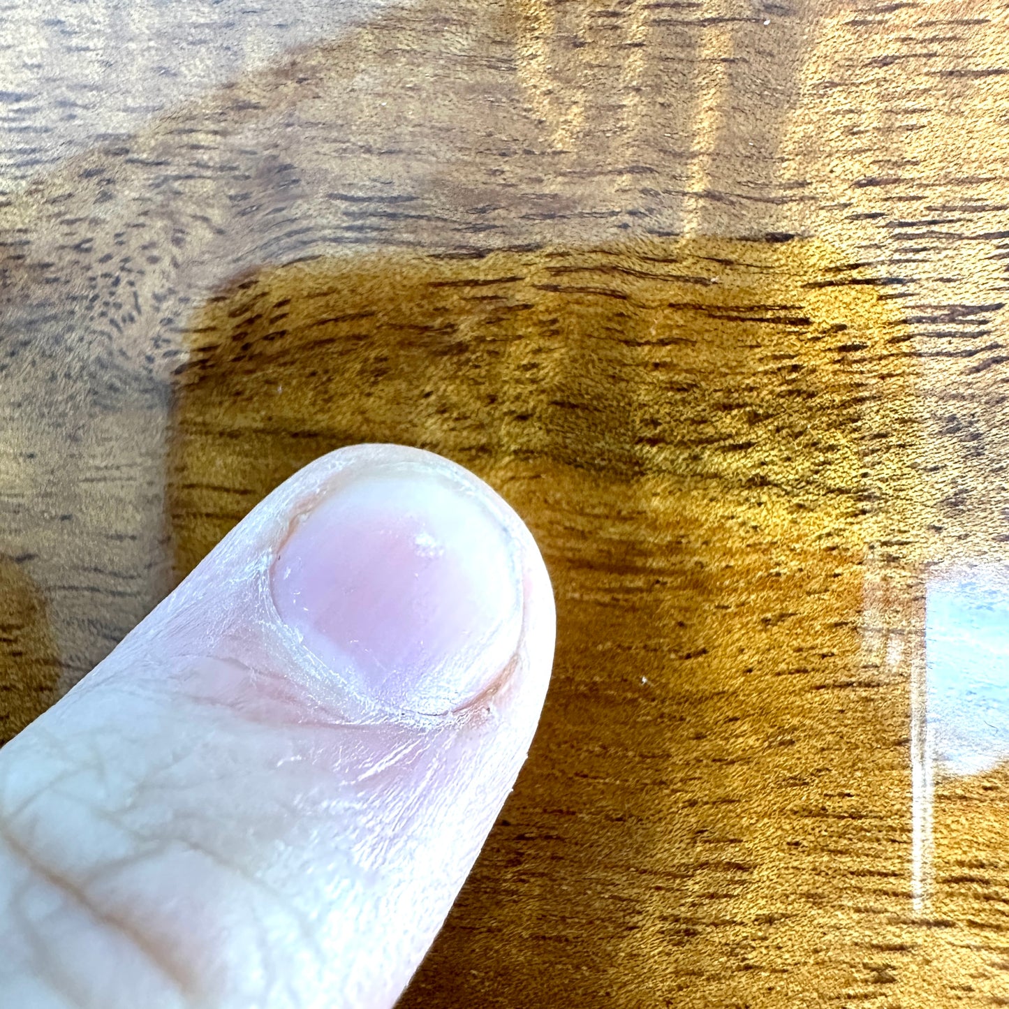 2019 Taylor K22e 12 Fret - Koa
