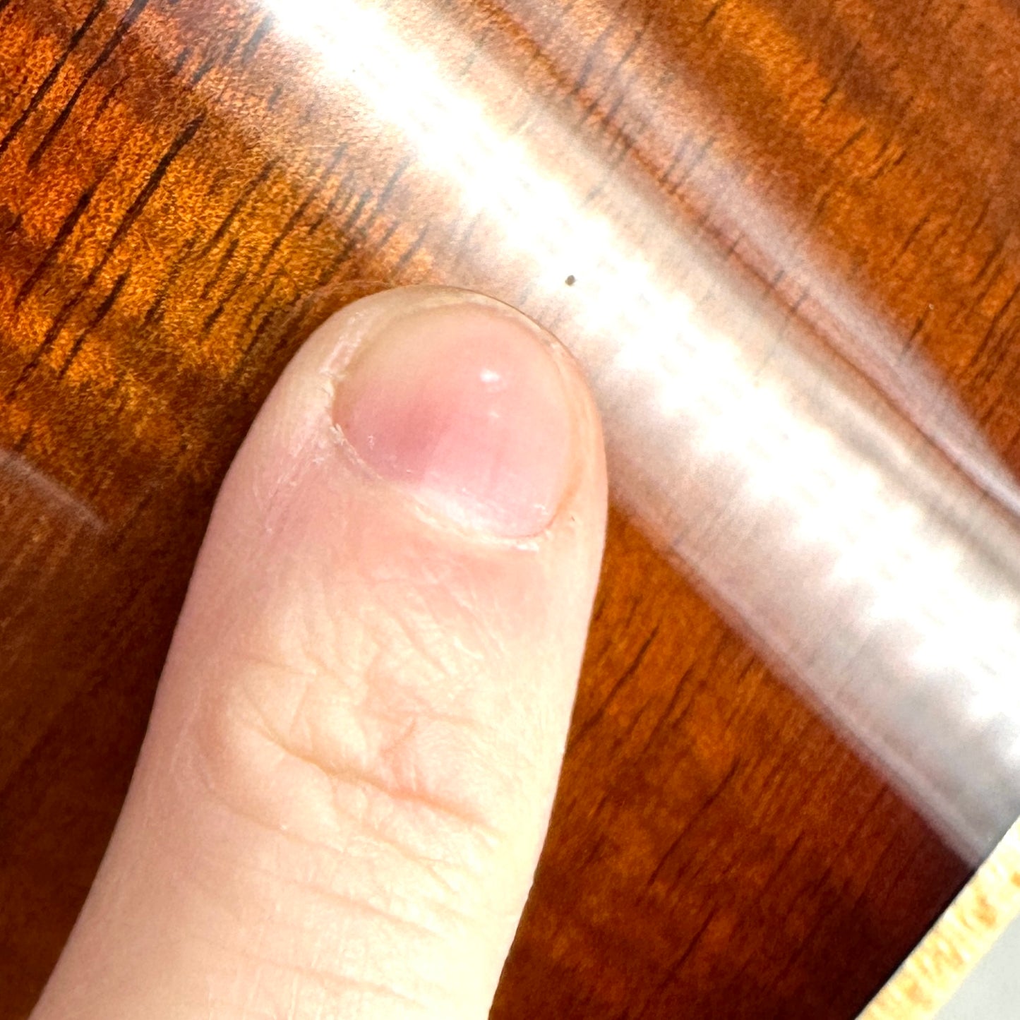 2019 Taylor K22e 12 Fret - Koa