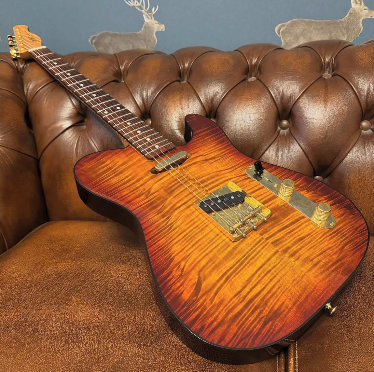 2020 Xotic XTC-1 'Xotique' - Tiger Eye Burst