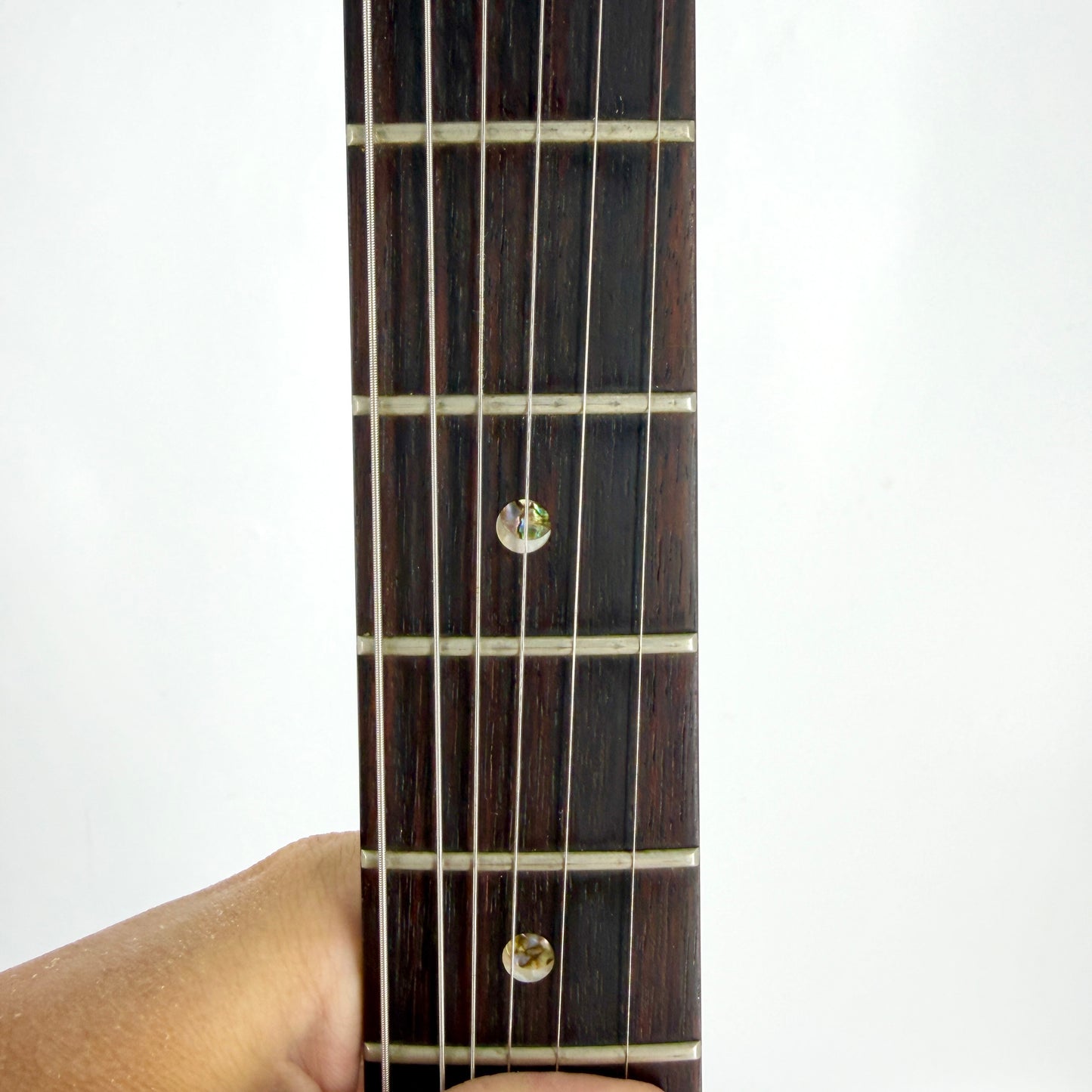 2003 PRS Custom 22 – Tortoise Shell