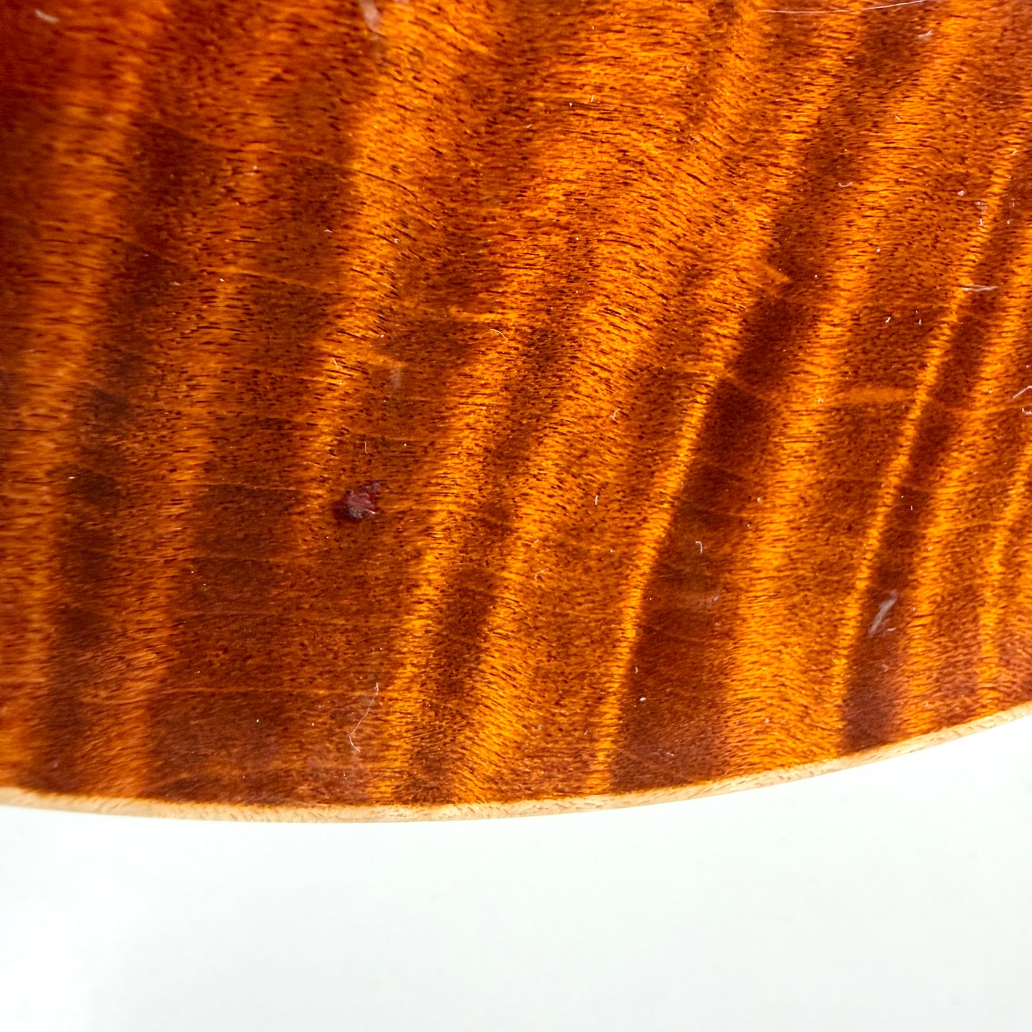 2003 PRS Custom 22 – Tortoise Shell