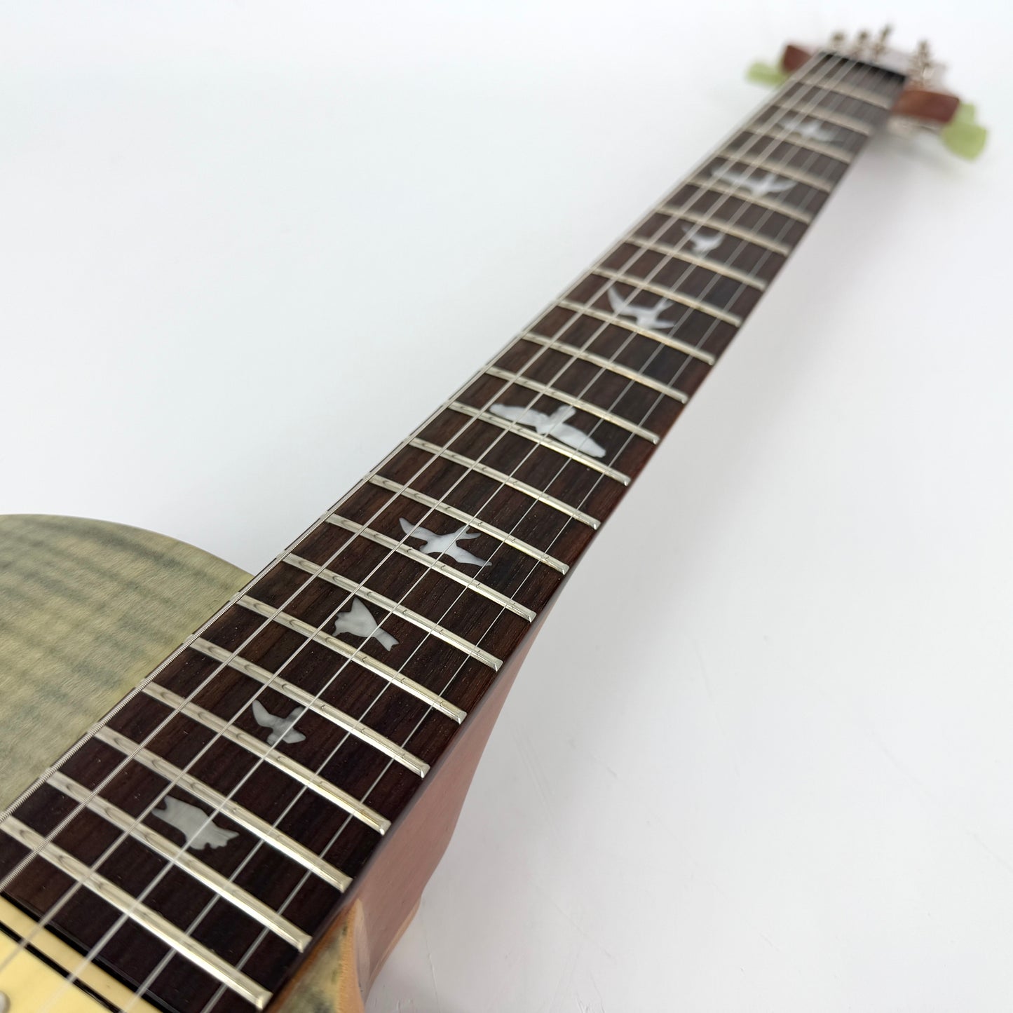 2014 PRS SE Zach Myers Signature - Trampas Green