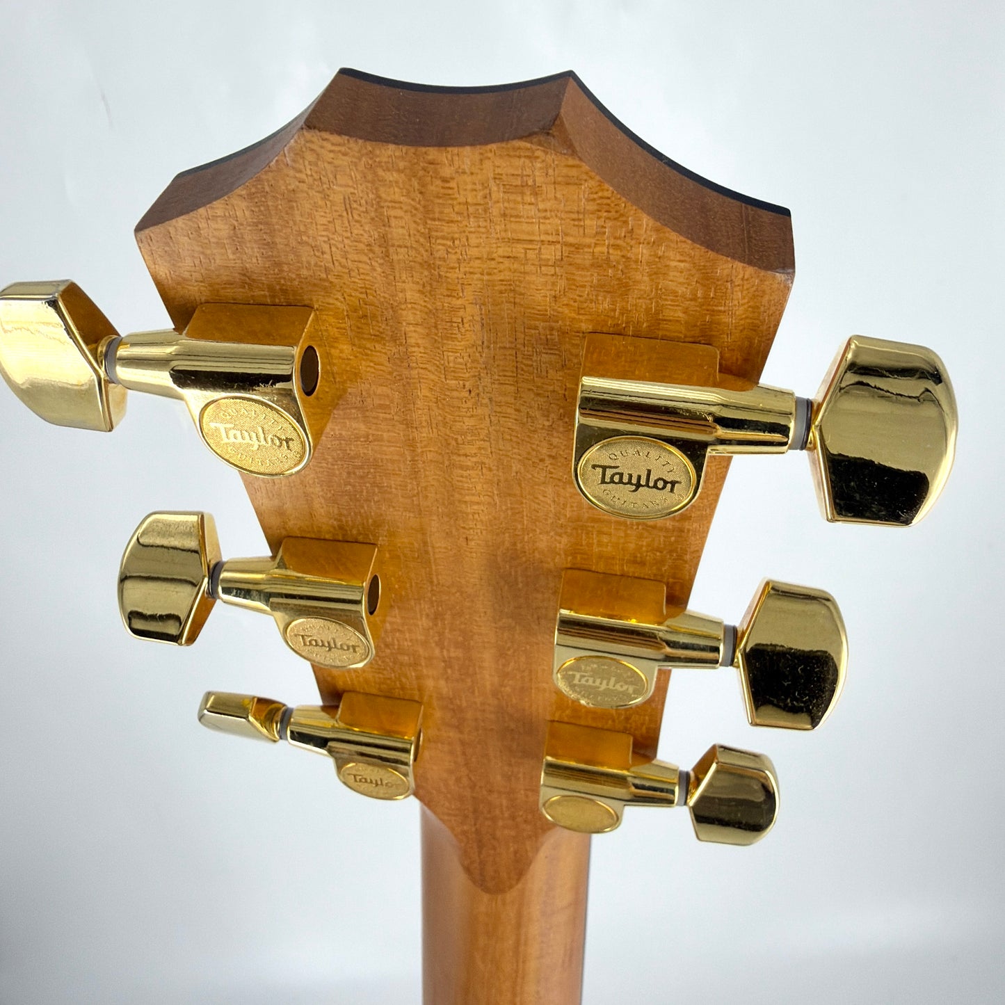 2024 Taylor 50th Anniversary 217e-SB Plus LTD - Sunburst