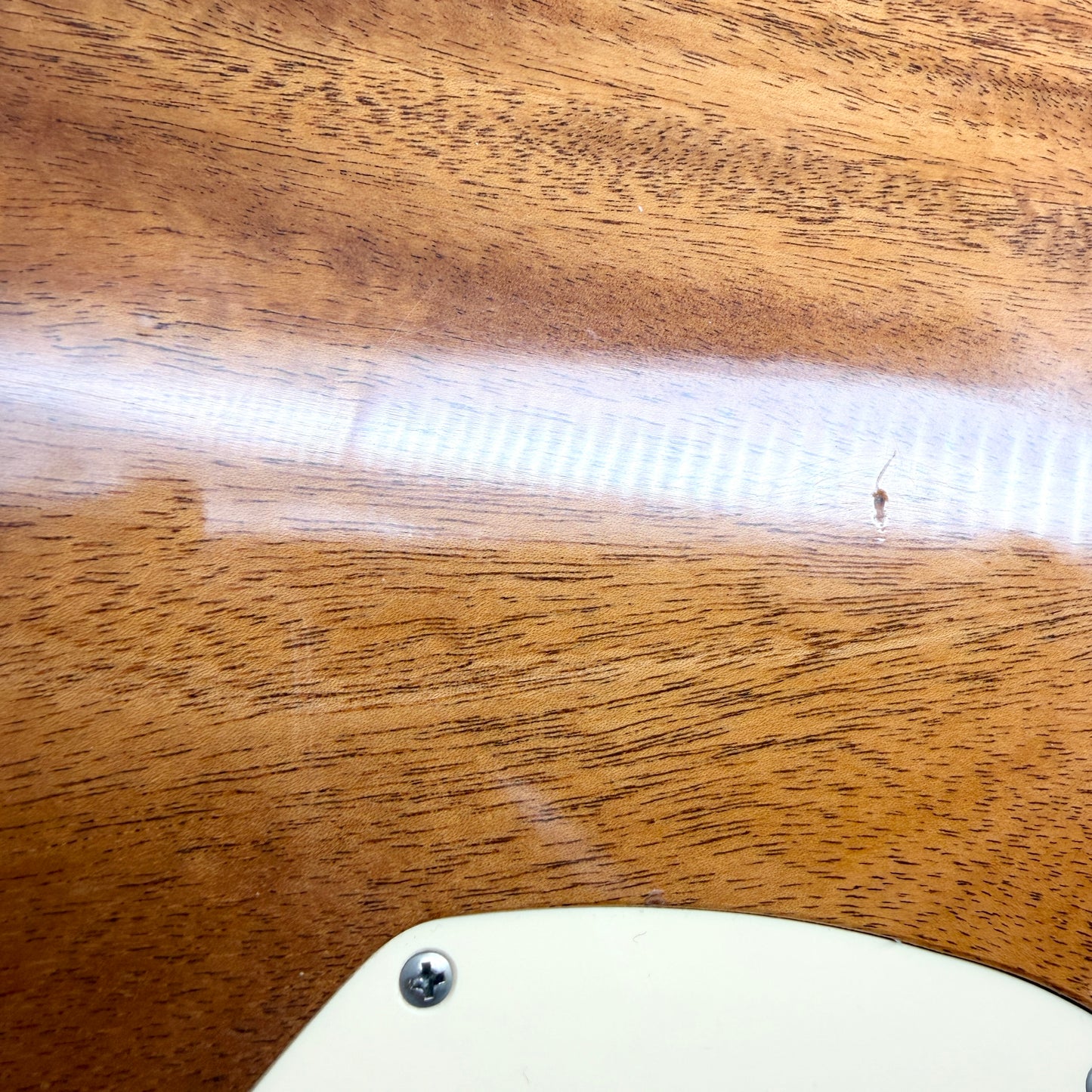 Patrick James Eggle Macon Singlecut – Buck Burst