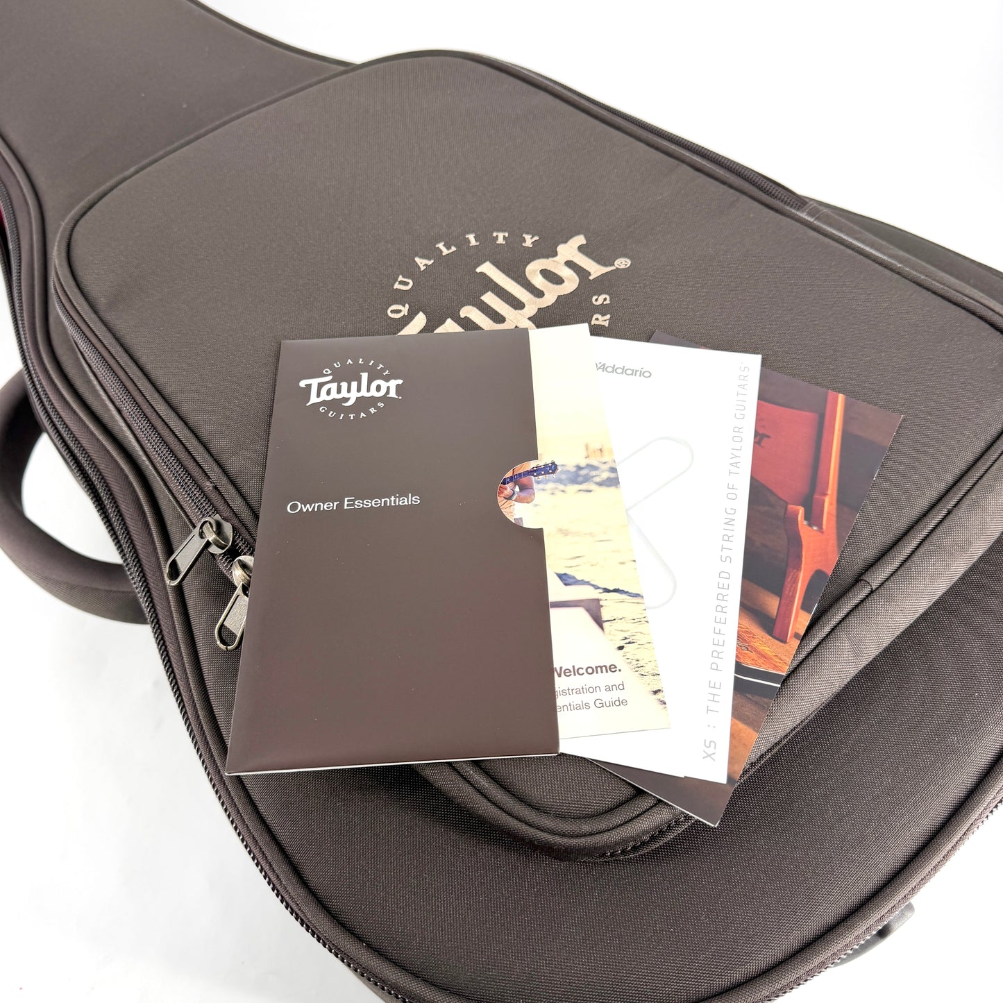 2024 Taylor GS Mini-e Rosewood Plus