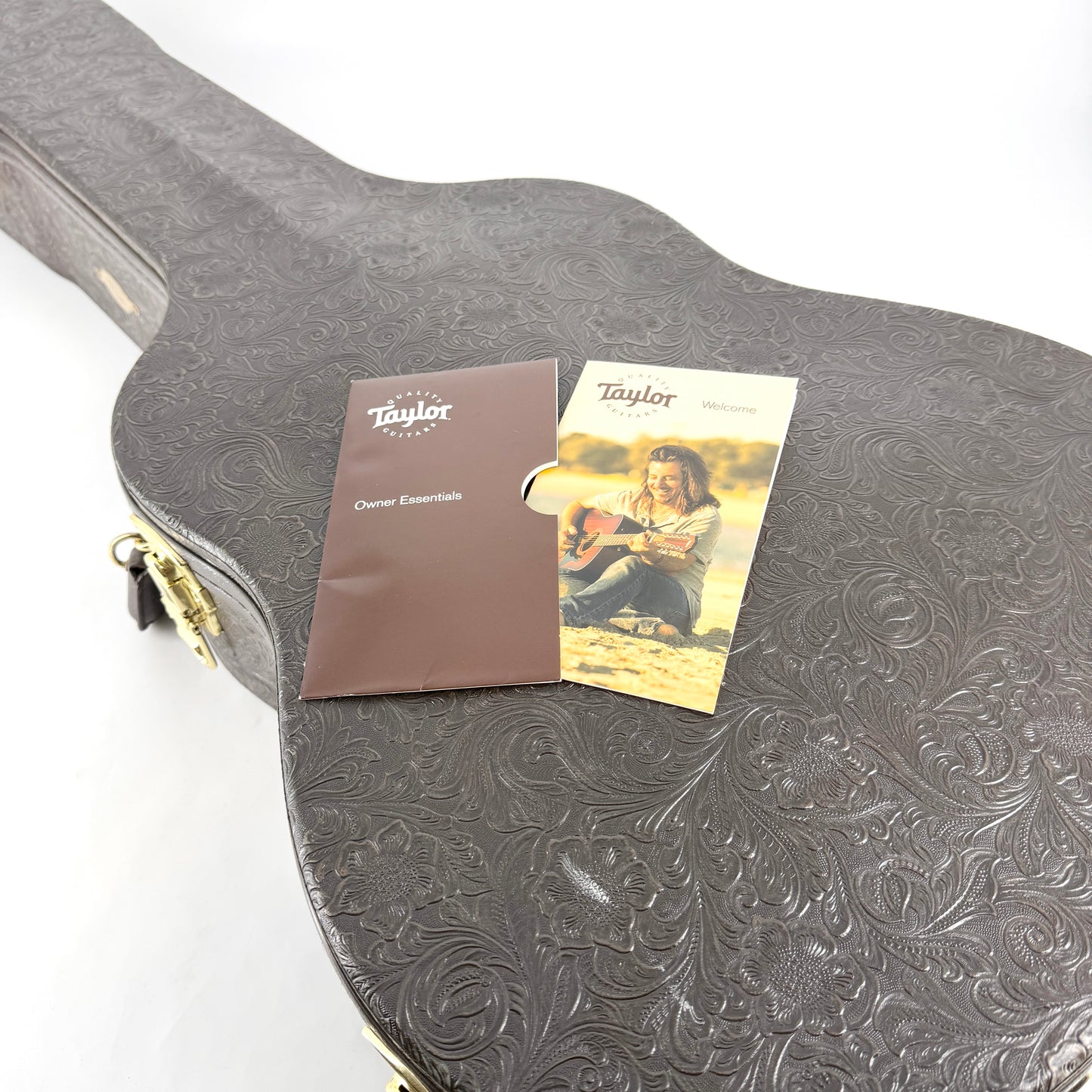 2019 Taylor Grand Pacific 317e V-Class - Natural