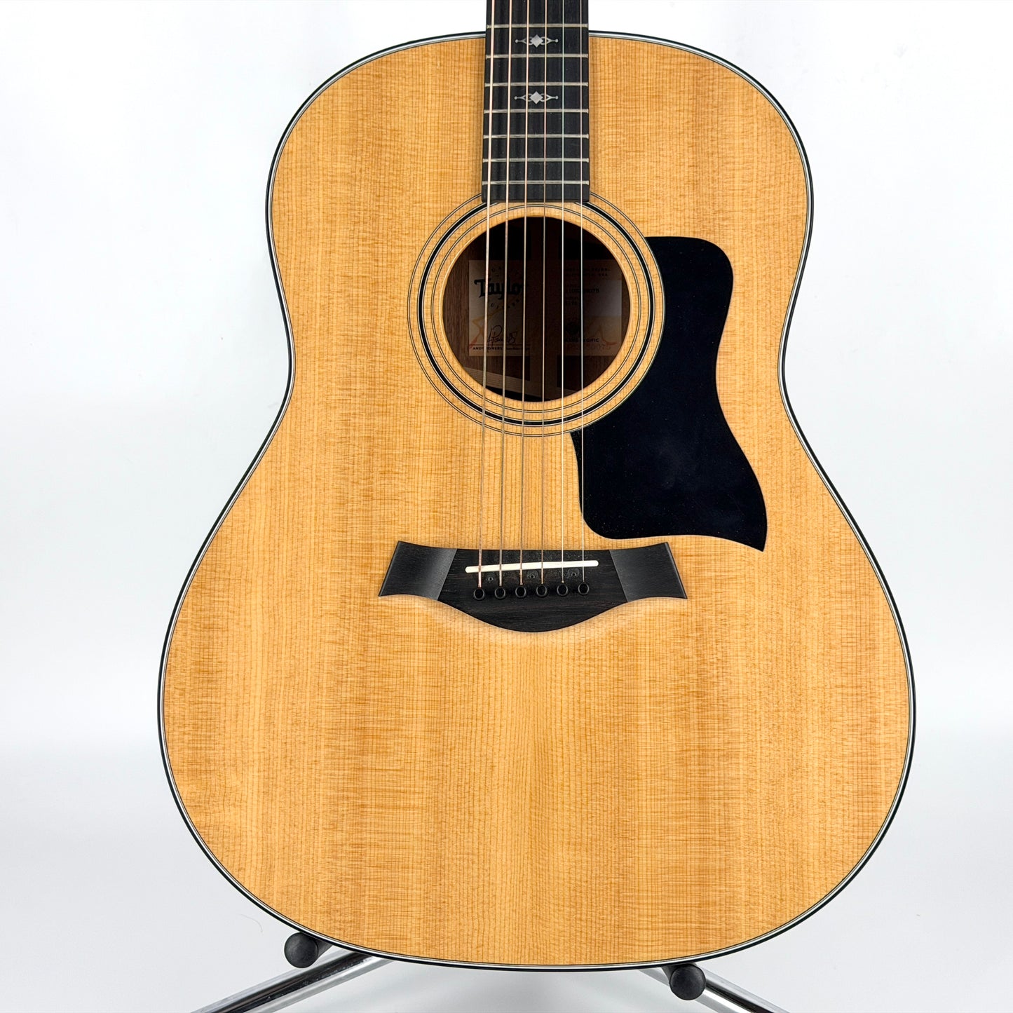 2019 Taylor Grand Pacific 317e V-Class - Natural