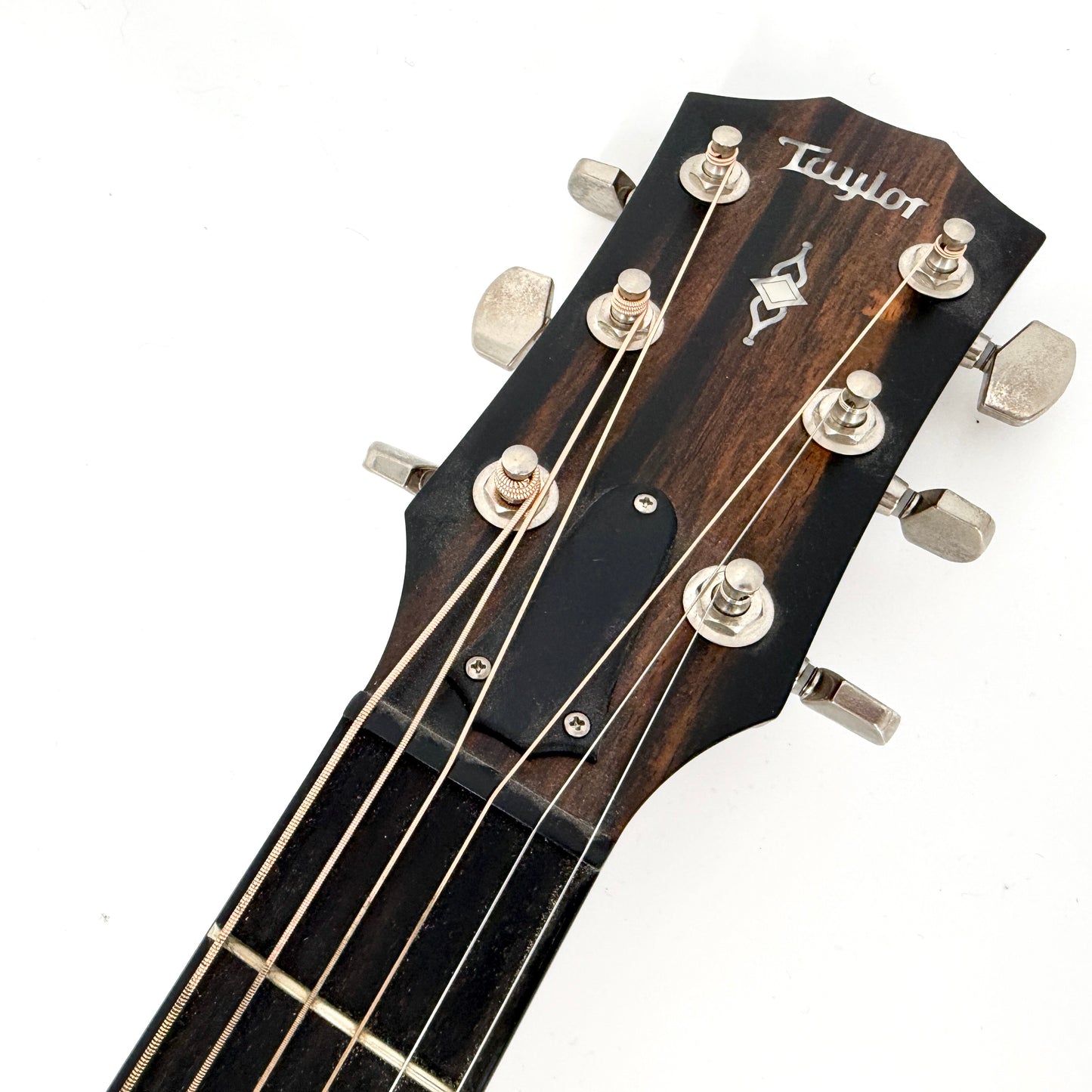 2019 Taylor Grand Pacific 317e V-Class - Natural