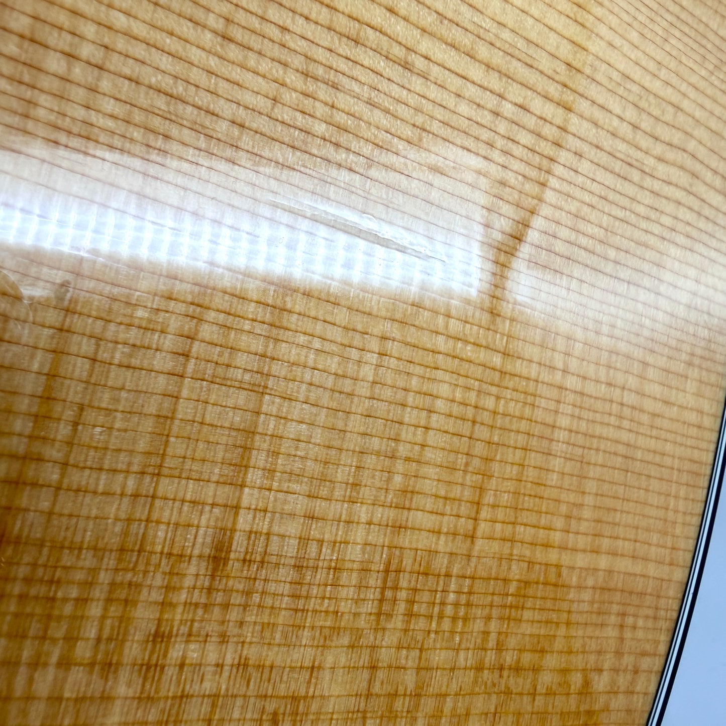 2019 Taylor Grand Pacific 317e V-Class - Natural