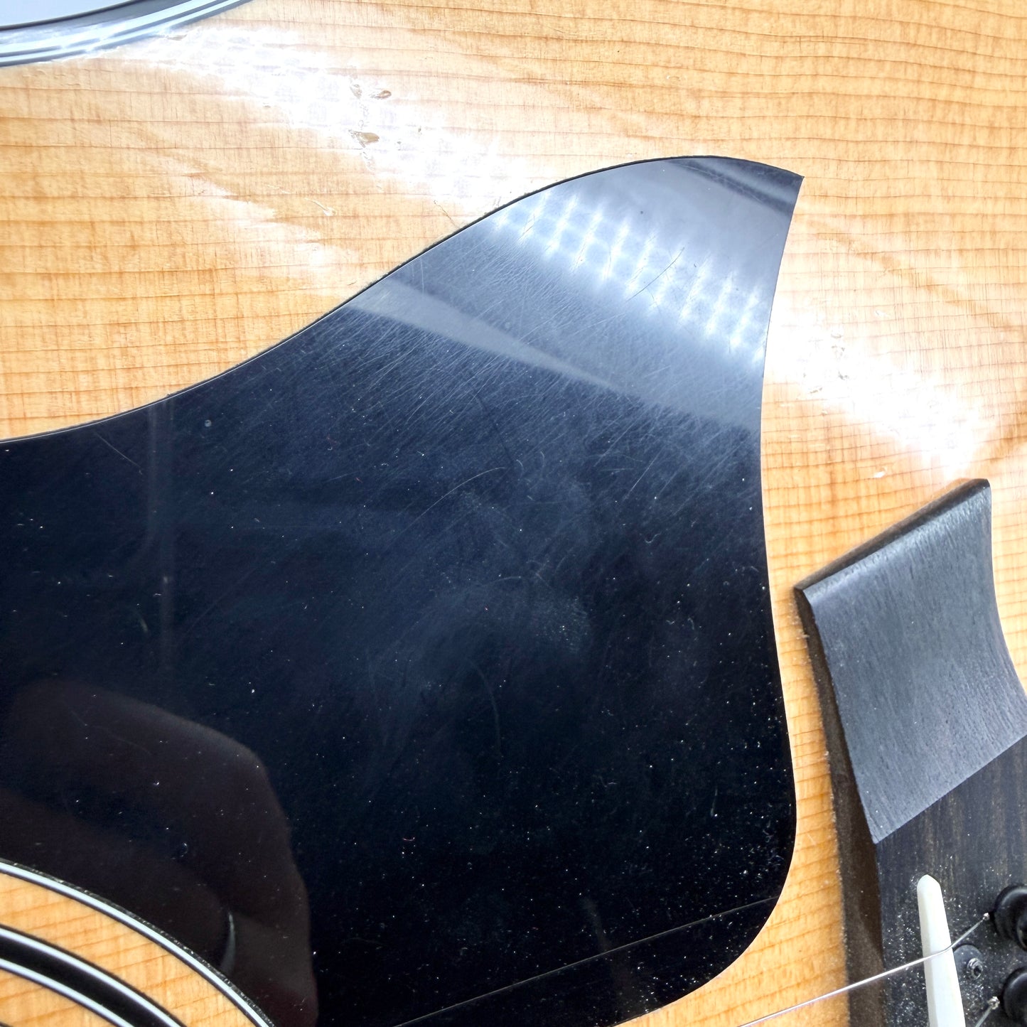 2019 Taylor Grand Pacific 317e V-Class - Natural