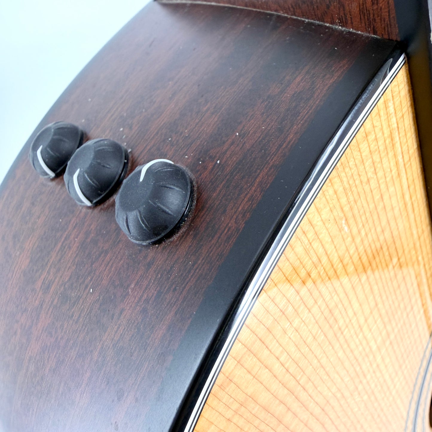 2019 Taylor Grand Pacific 317e V-Class - Natural