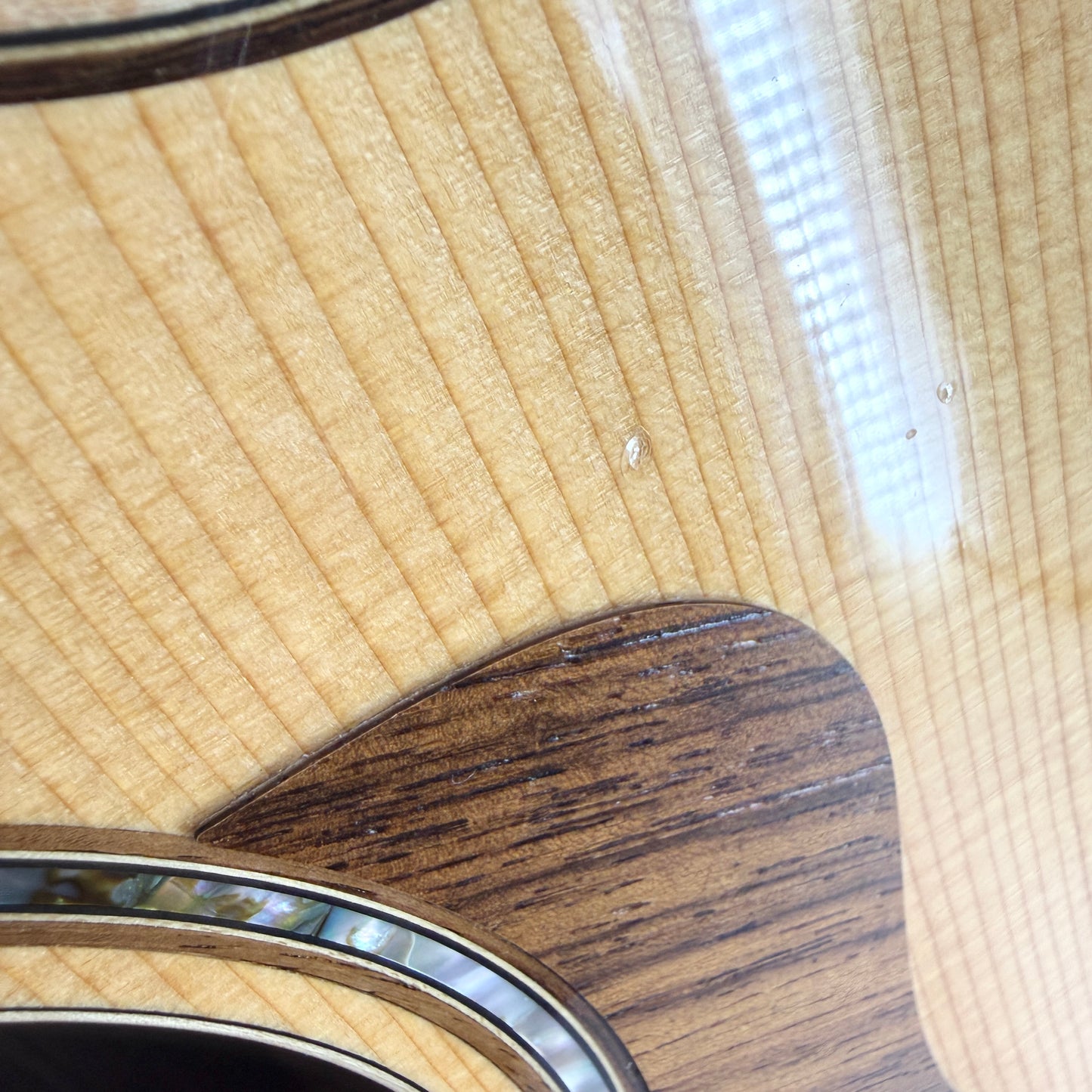 2016 Taylor 814ce - Natural