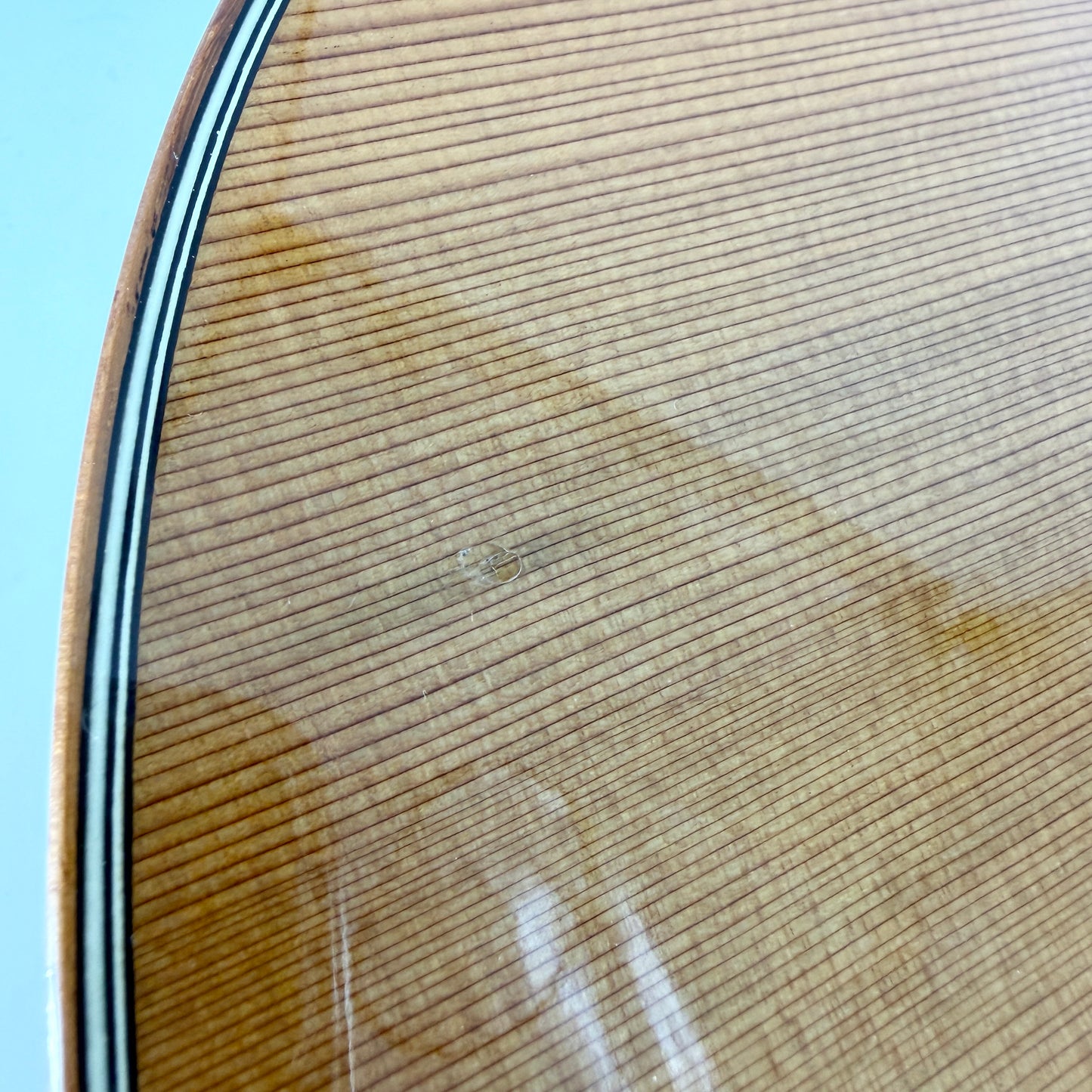 2003 Taylor 514ce - Natural