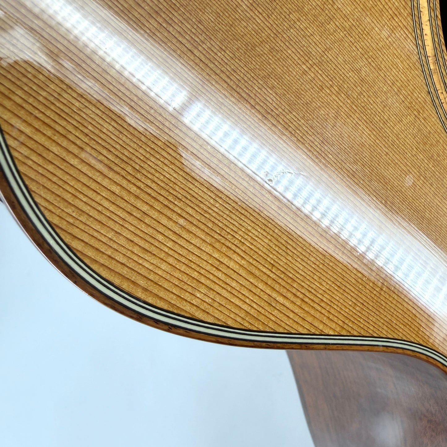2003 Taylor 514ce - Natural