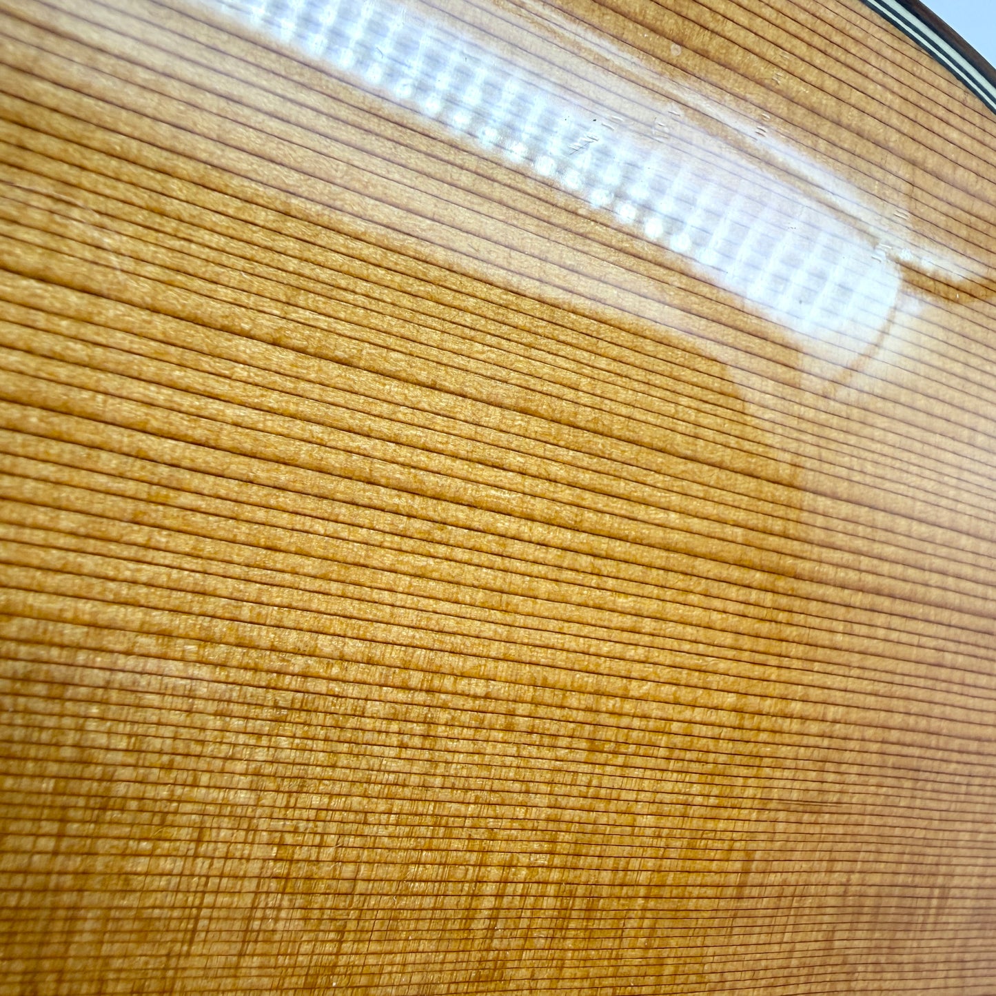 2003 Taylor 514ce - Natural